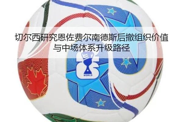 qie-er-xi-yan-jiu-en-zuo-fei-er-nan-de-si-hou-che-zu-zhi-jia-zhi-yu-zhong-chang-ti-xi-sheng-ji-lu-jing-2-229.jpg